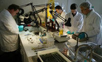 lab techs onboard the Odyssey Explorer treasure salvage ship cleaning coins