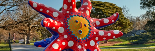 Kusama Story Time and Cosmic Nature at NYBG