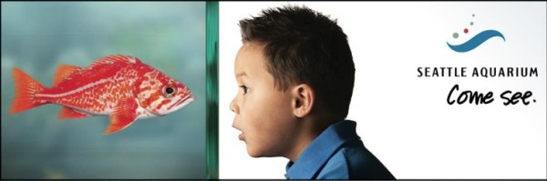 Brian Smale Shoots for Seattle Aquarium