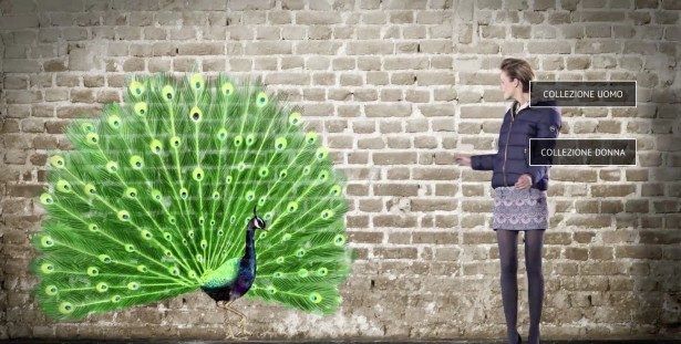 Marco Melgrati's Animations on Colmar