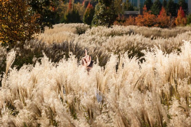 Brian Smale Photographs Designer Andrew Kim