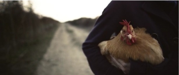 You Can't Make Chicken Soup Out of Chicken SH*T