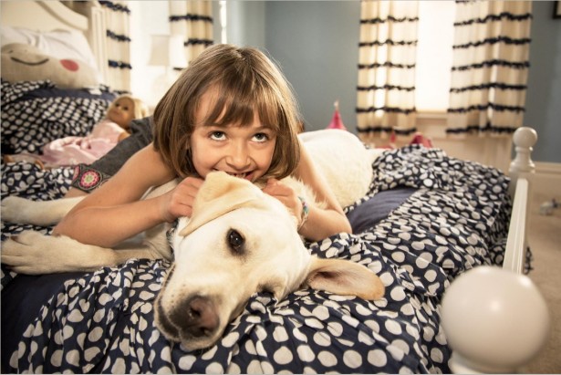 Beth Perkins' Puppy Love