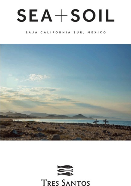 Art Brewer for "Sea + Soil" Travel Brochure