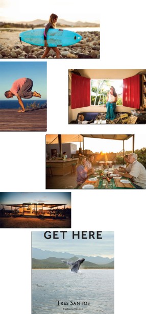 Art Brewer for "Sea + Soil" Travel Brochure