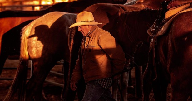 George Kamper's New Series "Equestrian"