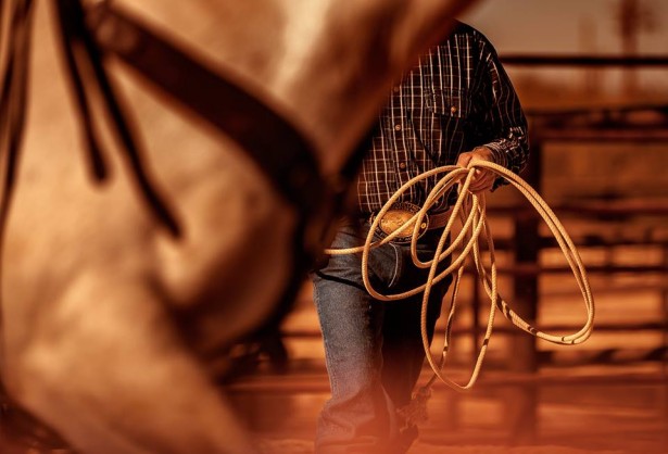 George Kamper's New Series "Equestrian"