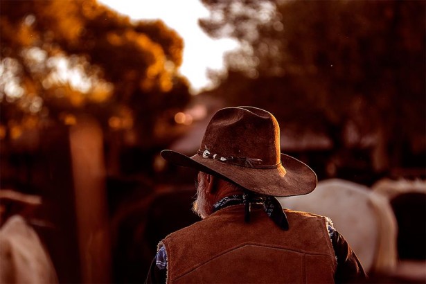 George Kamper's New Series "Equestrian"