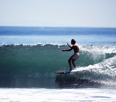 Insiders Look into the Surfing Industry
