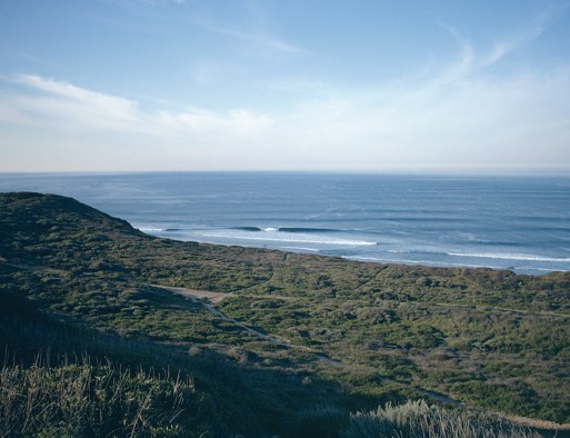 Insiders Look into the Surfing Industry