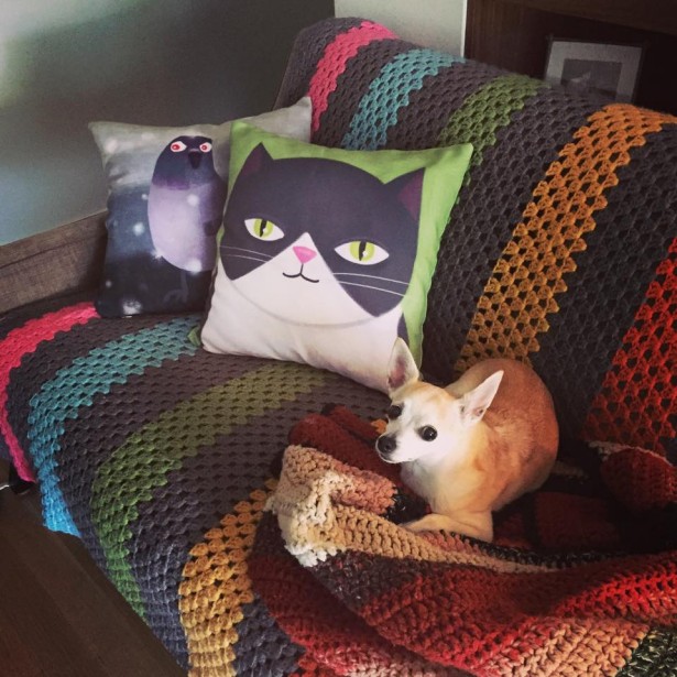 Angela Martini’s Pillows Are Dog Friendly