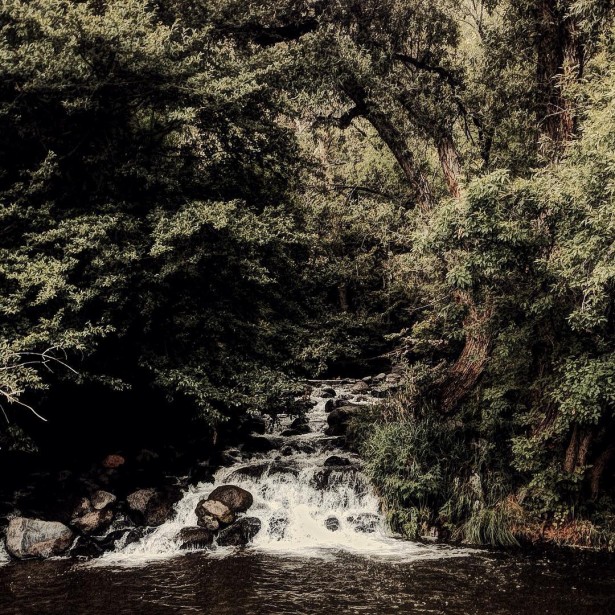 Kristofer Dan-Bergman Takes A Trip To The Wilderness