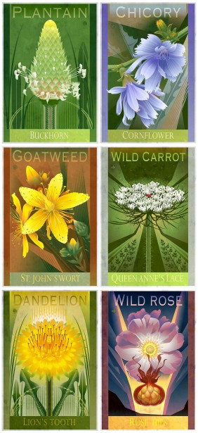 A Look At Nature’s Different Benefits by Garth Glazier