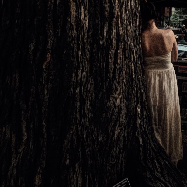 A Fleeting Moment, Captured By Kristofer Dan-Bergman