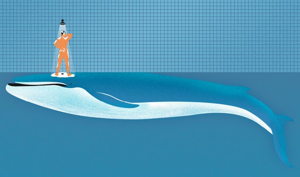 Mirko Cresta Selected for Creative Quarterly 42