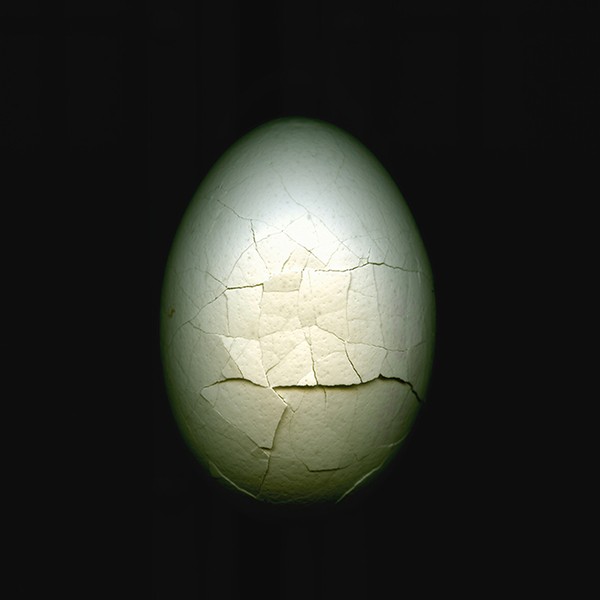 Upcoming exhibition/Matière à Reflexion 2.0