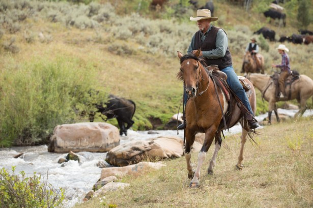 Matthew Bowie Travels to Logan Utah