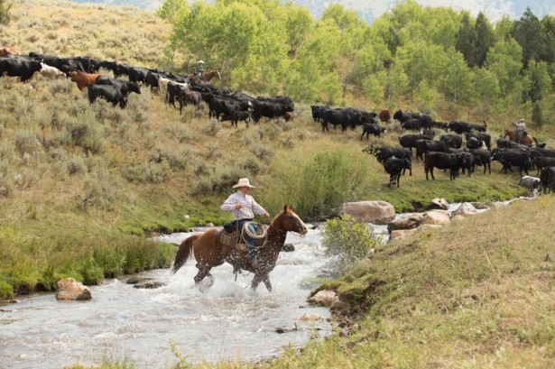 Matthew Bowie Travels to Logan Utah