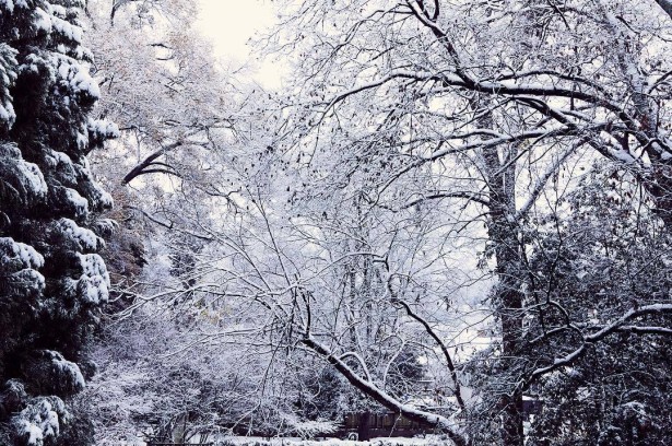 Lowden Shares Some Atlanta Winter Scenes