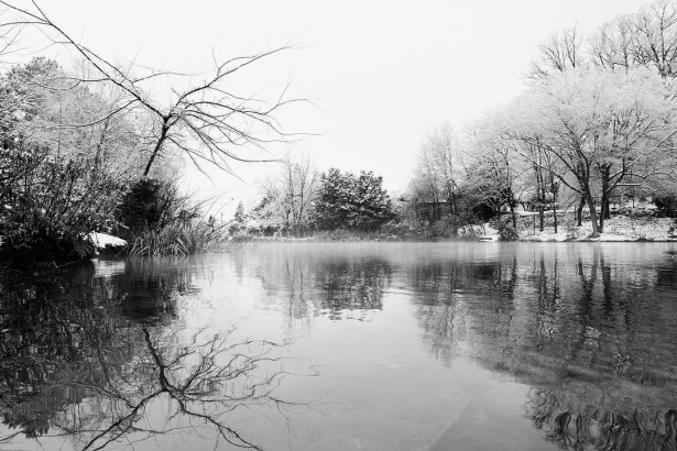 Lowden Shares Some Atlanta Winter Scenes