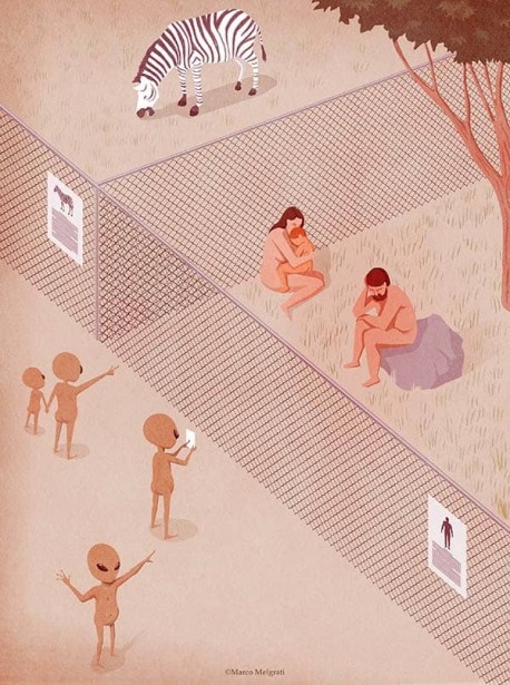 Marco Melgrati Wins Creative Quarterly Awards