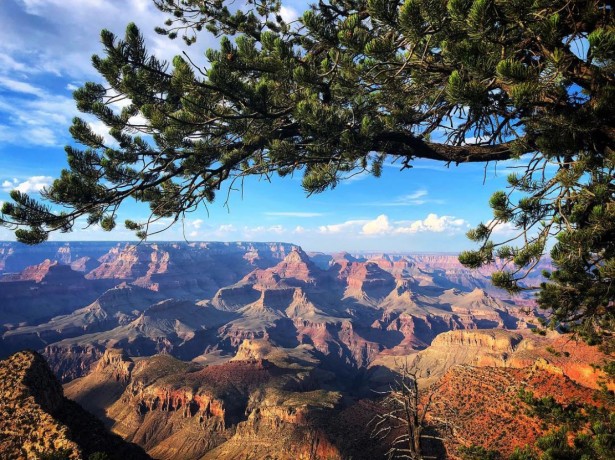 Burfield Shares Photos from Grand Canyon and Utah Deserts