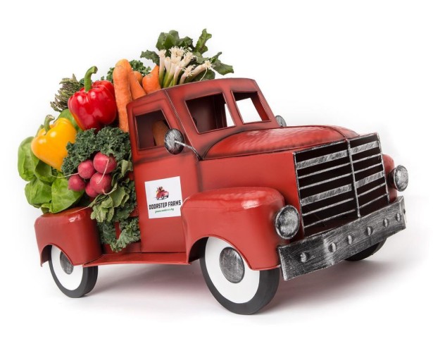 Studio Caswell Shoots Greens for Doorstep Farms