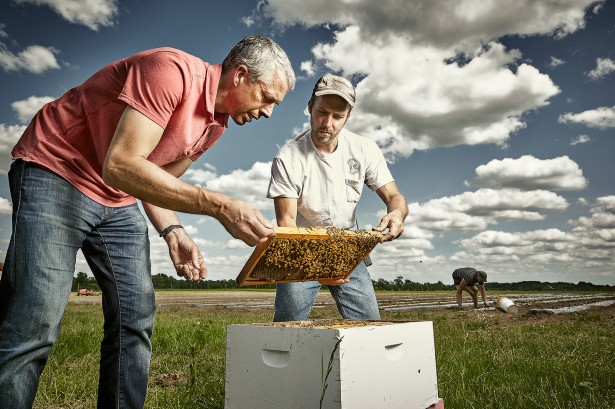 Photographer Barraclough's Editorial shoot at The Big Red Farm