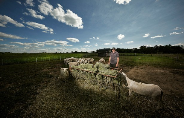 Photographer Barraclough's Editorial shoot at The Big Red Farm