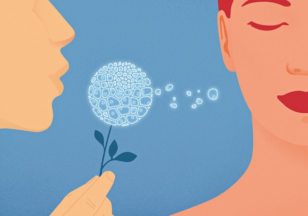 Guidone's Illo on the Importance of Stem Cells Donations