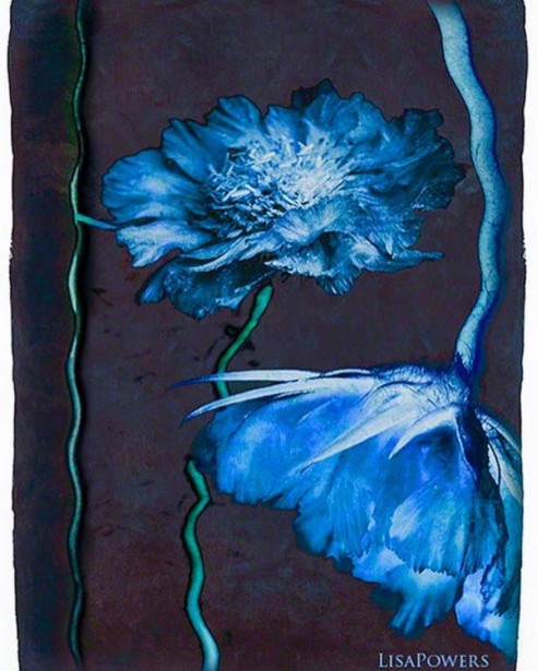 Powers Unveils New “Blue Flower” Greeting Card Series