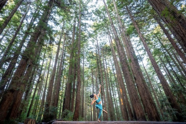 Houser Shoots Forest Fitness At Dusk