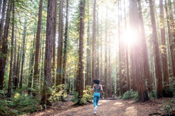 Houser Shoots Forest Fitness At Dusk