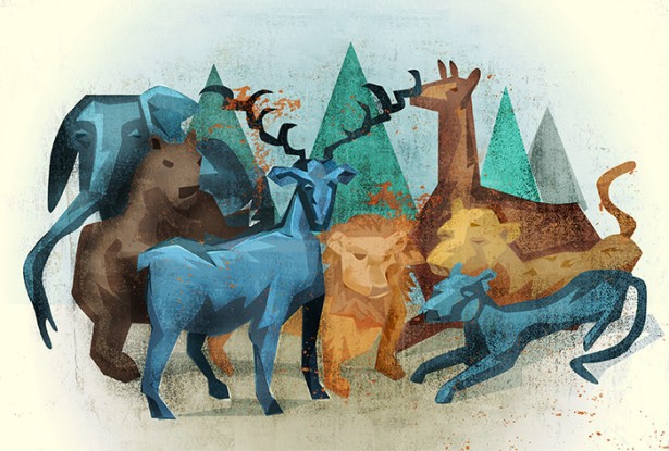 Anthony Foronda Illustration for ACR Press