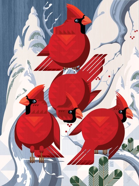 A Radiance of Cardinals