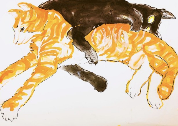 Wiseman Pays Tribute to Cats And William Burroughs