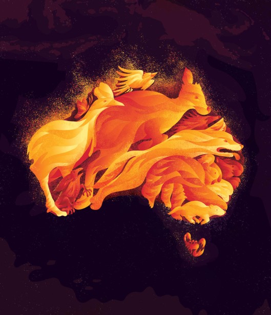 Illustrator Kerschbaumer Depicts the Australian Bushfire Tragedy
