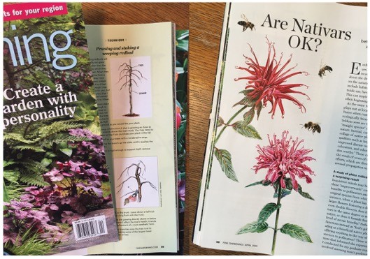 Lyn Alice's Watercolors in April Issue of Fine Gardening Magazine