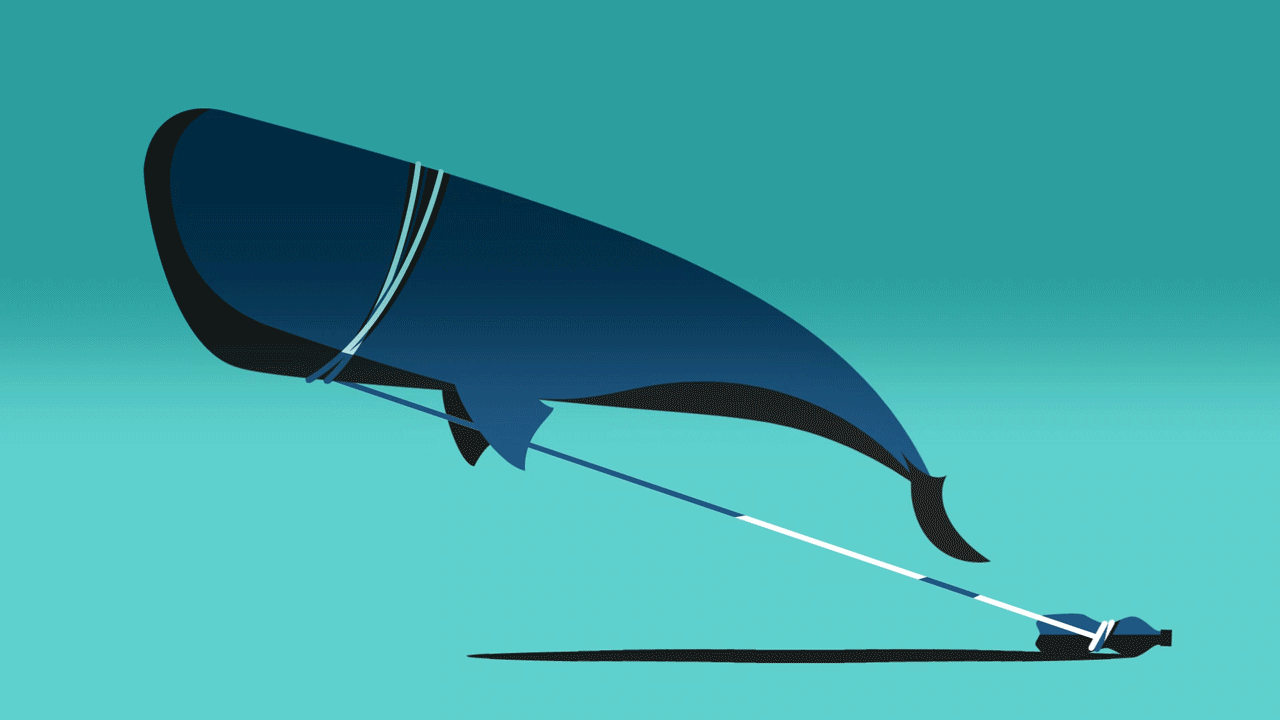 Kirpach’s Brand-New Animations Focuses On Important Topics