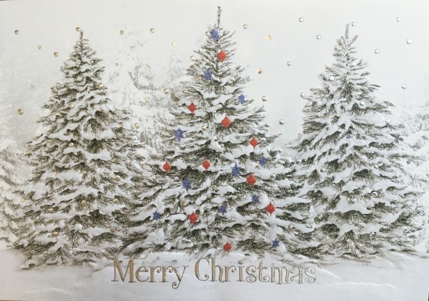 Lyn Alice Creates Magical Holiday Card for Prudent Publishing