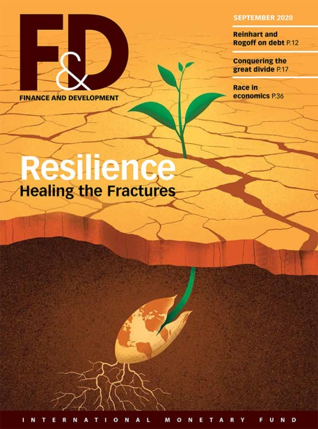 Bonazzi for International Monetary Fund F&D