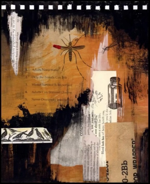 Buelow Announces October Print-Sale!