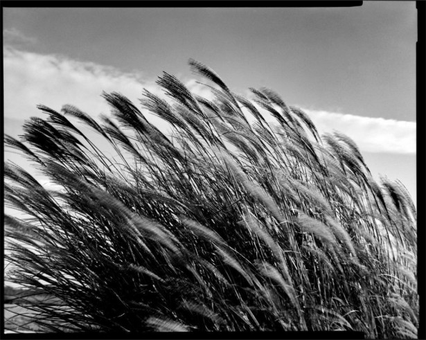 Jason Burfield Shares New B&W Work