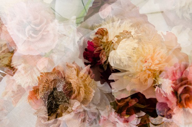 Peña Shares New Multiple-Exposure Project
