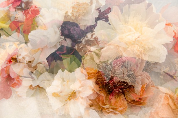 Peña Shares New Multiple-Exposure Project