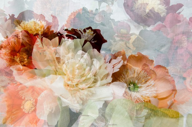 Peña Shares New Multiple-Exposure Project