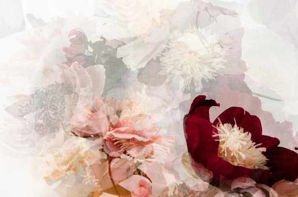 Peña Shares New Multiple-Exposure Project