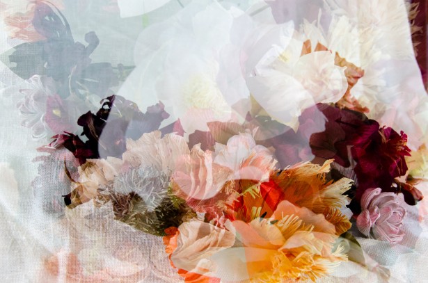 Peña Shares New Multiple-Exposure Project