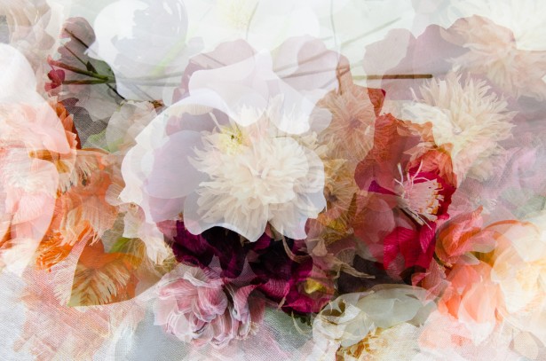 Peña Shares New Multiple-Exposure Project