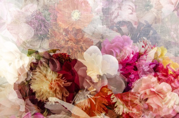 Peña Shares New Multiple-Exposure Project
